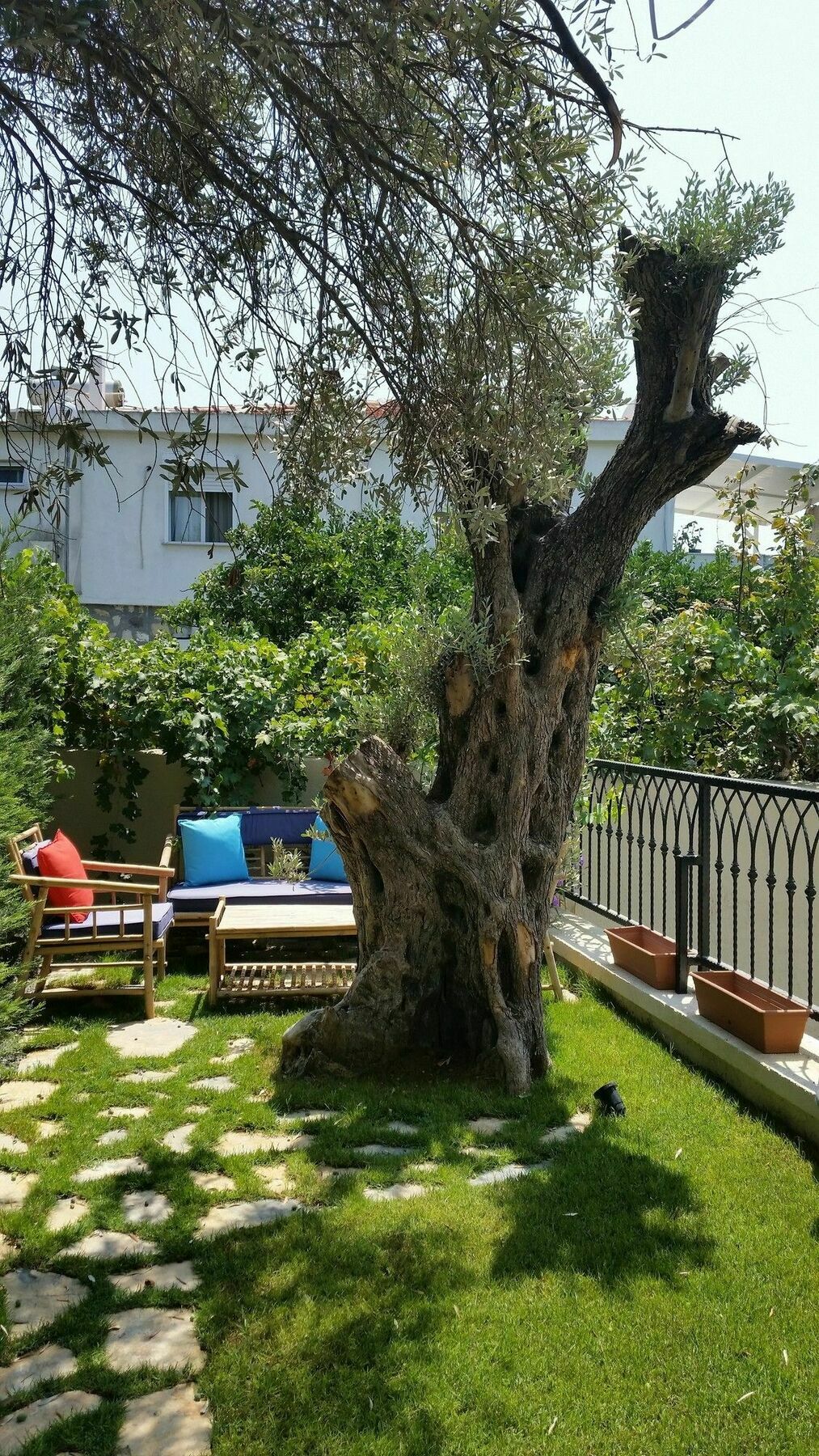Cassiopeia Hotel Alaçatı Eksteriør bilde