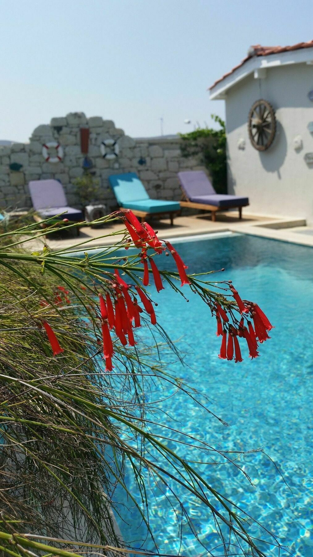 Cassiopeia Hotel Alaçatı Eksteriør bilde